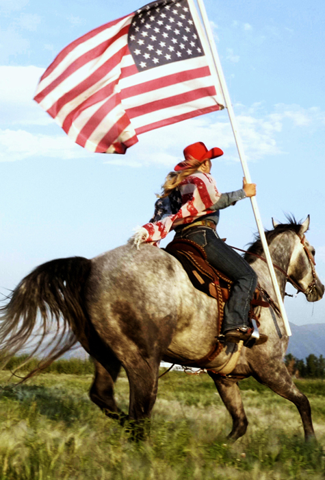 horse with flag
